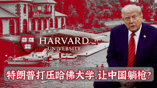 哈佛禁招令，影响未来女王的毕业之路？